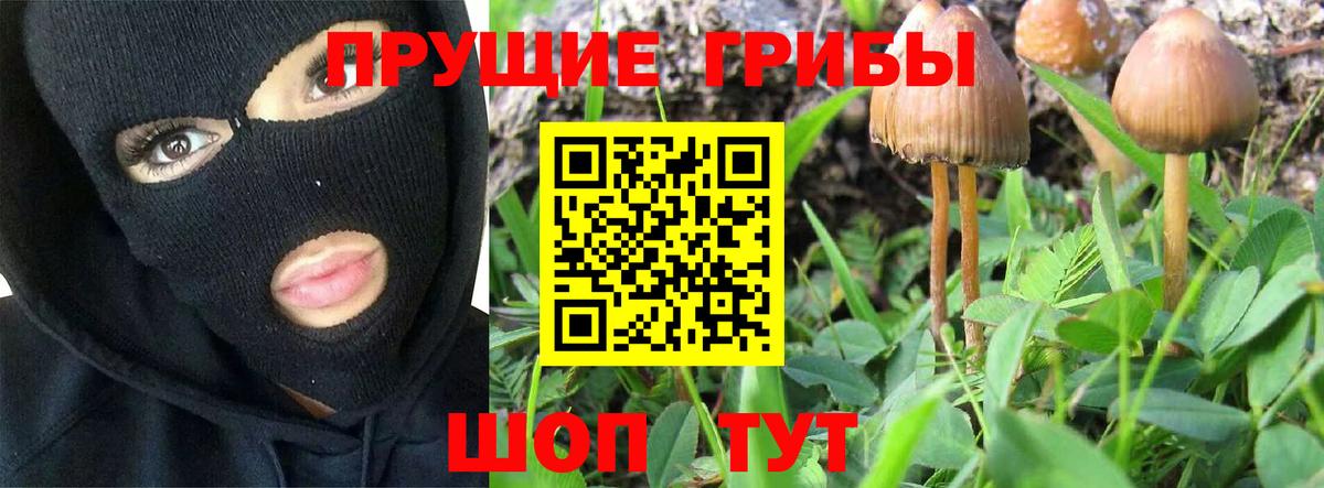 Галлюциногенные грибы мицелий Ростов-на-Дону