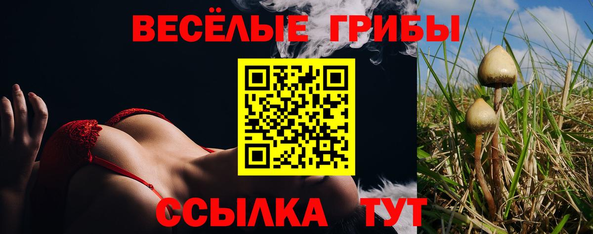 Ростов-на-Дону  Галлюциногенные грибы мухоморы  Вход с VPN 