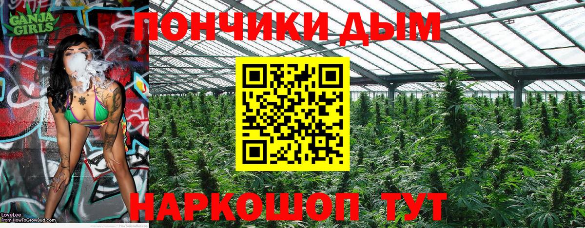 Конопля Bruce Banner  Конопля MAZAR  Вход с VPN  Конопля MAZAR  Шишки марихуана семена  Ростов-на-Дону 